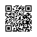 41100-49251-019 