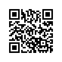 412106900 Drive Chain, (74 Links) Large