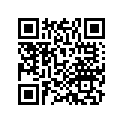 41252-HL6-A01 SHIM B (1.2)