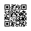 41255-29600 