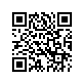 41300055 SPRING,RRBRAKEPAD