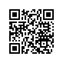 414143300 Rondelle       *washer