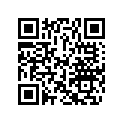 41491700 Blank Key
