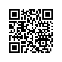 414953600 Amortisseur    *shock