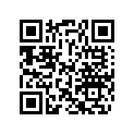 414970000 Amortisseur    *shock