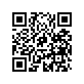 415040300 Amortisseur    *shock