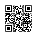 415101700 Amortisseur    *shock