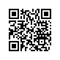 415101900 Amortisseur    *shock