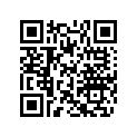 415105700 Amortisseur    *damper