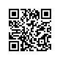 41580-26400-000 Bar, pillion rider