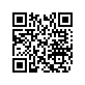 417005294 Rampe 294      *ramp-294