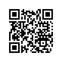 417115300 Flasque Int.   *flange-inner