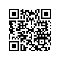 417122400 Rondelle       *washer