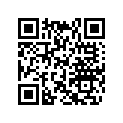 417126349 Protecteur     *protector