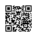 417222247 Fixe Flange