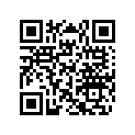 417300231 Spacer
