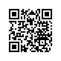 417300506 Stopper
