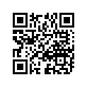 41912-24300 