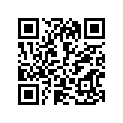 41980-49450-019 
