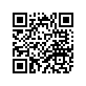 41N-21110-01-33 