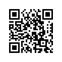 420246015 Woodruff Key
