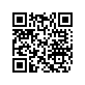 420251560 Support