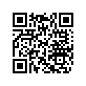 420253741 SHIM 2,1