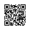 420253742 SHIM 2,2