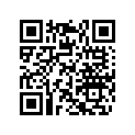 420253755 SHIM 2,45