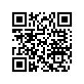 420266307 Brush Kit