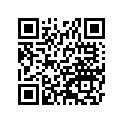 420331028 