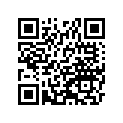 420331053 