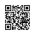 420627040 WASHER