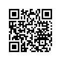 420685295 Magneto Assy