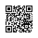 420923811 Nicasil Cylinder