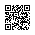 420923817 Nicasil Cylinder