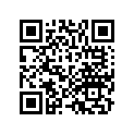 42453-HN5-671 SHIM C (1.5)