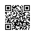 427-17251-00-00 