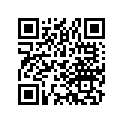 42710-422-673 Tire (4.25h18) (4pr)