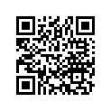 42710-445-631 Tire (4.25h18) (4pr)