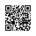 42710-445-632 Tire (4.25h18) (4pr)