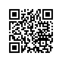 42711-056-810 Tire (3.00-17) (4pr)