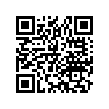 42711-087-741 Tire, rr. (2.50-17)