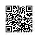 42711-098-952 Tire 4.00-10-2pr