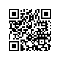 42711-102-762 TIRE 2.75-17-4PR