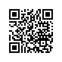 42711-128-691 Tire, Rr. (3.00-14)