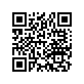 42711-383-611 Tire 300-176prs10