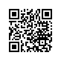 42711-431-661 Tire, Rr. (4.50h17)