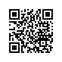 42711-459-971 Tire(irc)