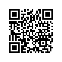 42711-459-972 Tire (2.75-17)